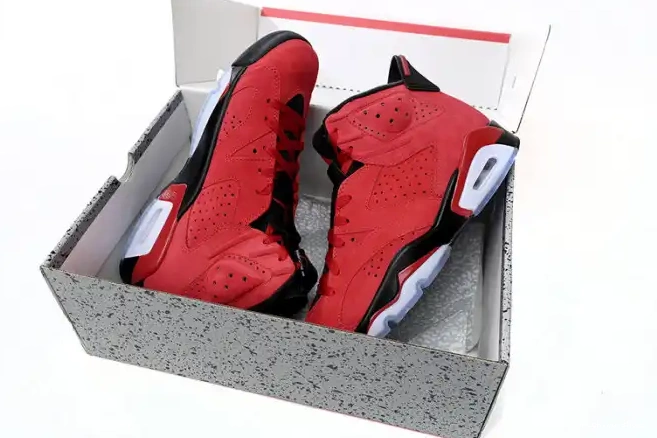 Rep Jordan 6 Toro Air CT8529-600 0603